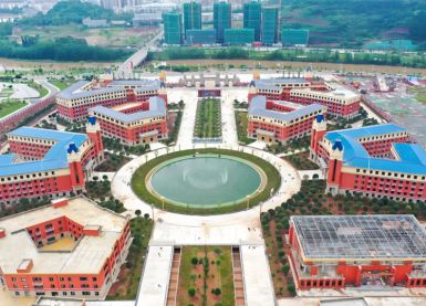成都文轩职业学校雷电预警系统建设【易造防雷】