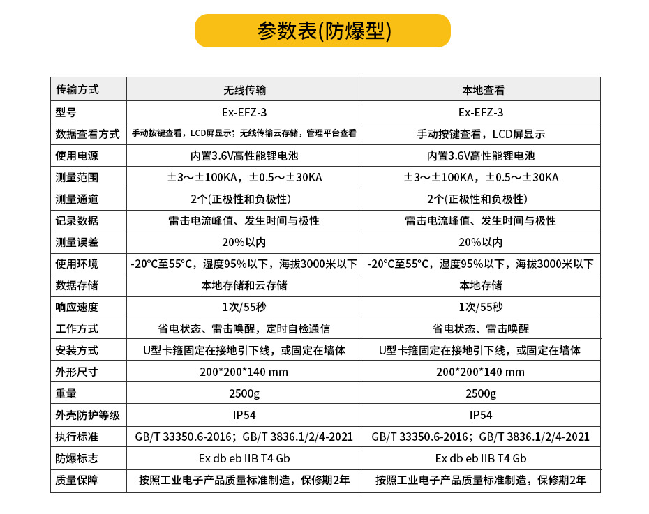 雷电波记录仪-按需选型 可按需定制