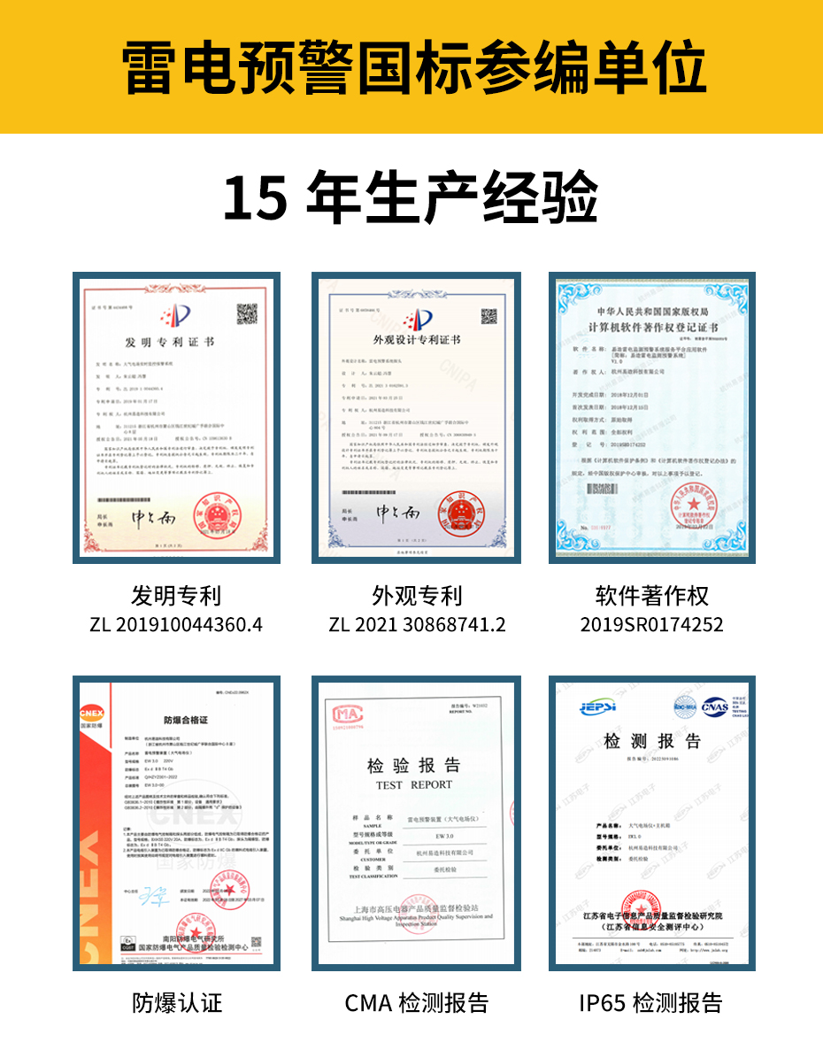 雷电预警系统国标参编单位-15年生产经验
