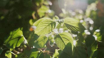 三八妇女节丨祝所有女神:愿你笑靥如花,一生不减芳华-杭州易造