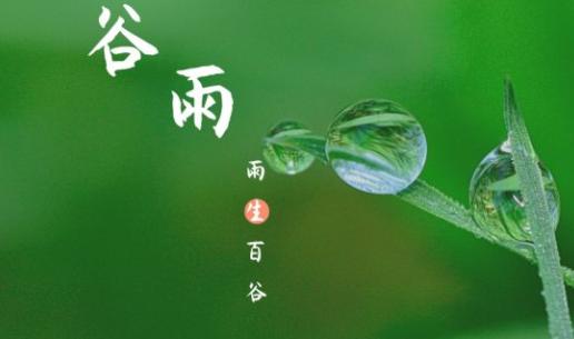 谷雨|雨生百谷,万象更新