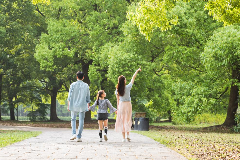 芒种 | 风吹麦成浪，蝉鸣夏始忙【杭州易造】-养生