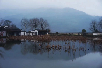 小寒-白日隐寒树，野色笼寒雾