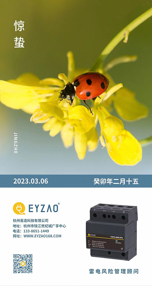 惊蛰-叫醒甜睡的春-易造防雷